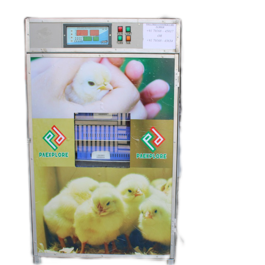 1105 Capacity Quail Egg Incubator Machine