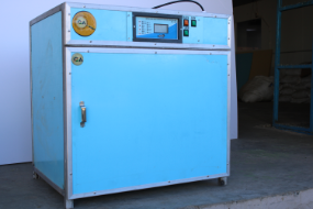 200 Egg Capacity Egg Incubator 