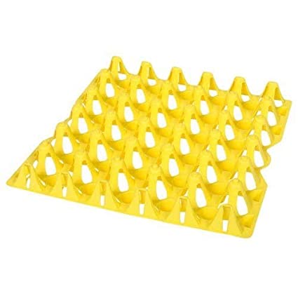 30 Capacity Plastic Egg Tray