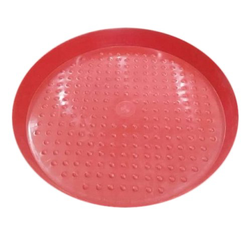 Chicks Feeding Tray